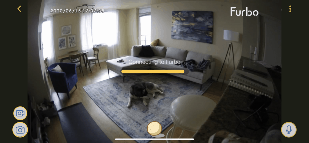 Example of what the Furbo Dog Camera app looks like