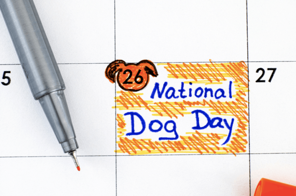 National Dog Day calendar