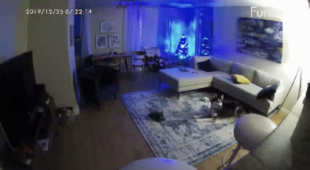 Furbo Dog Camera living room view 