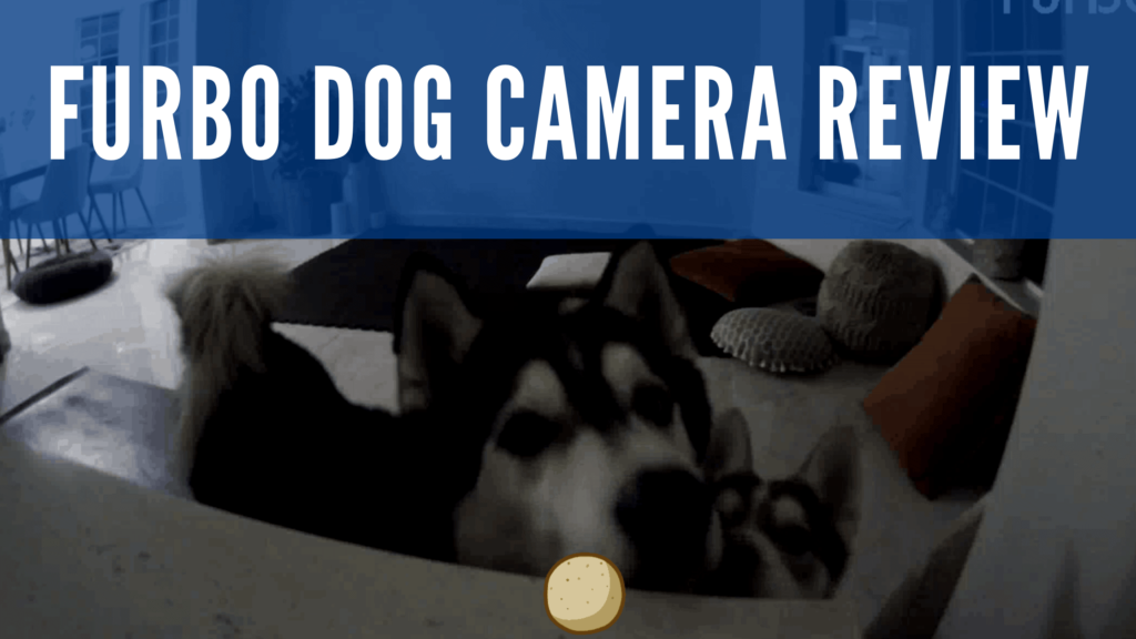 Furbo Dog Camera review