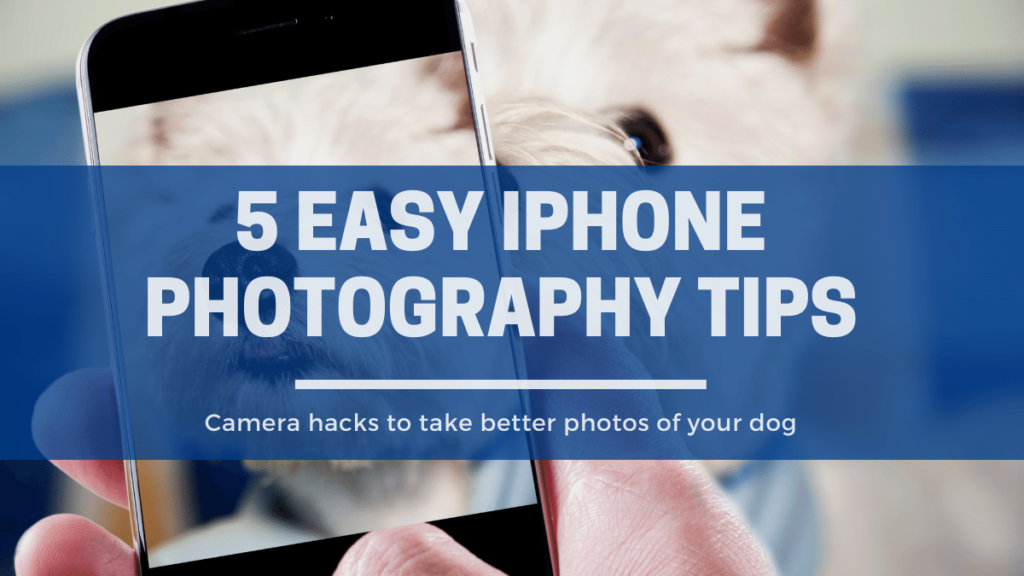 camera hacks to take better photos of your dog