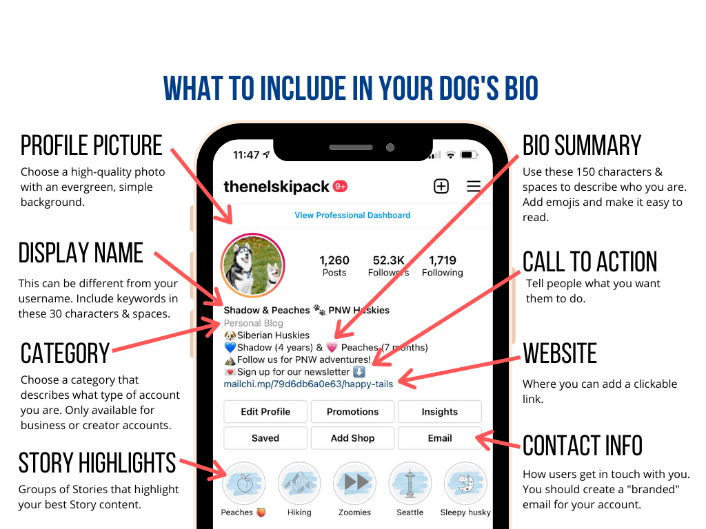 How to Craft the Pawfect Bio for your Dog's Instagram Account – The Nelski  Pack