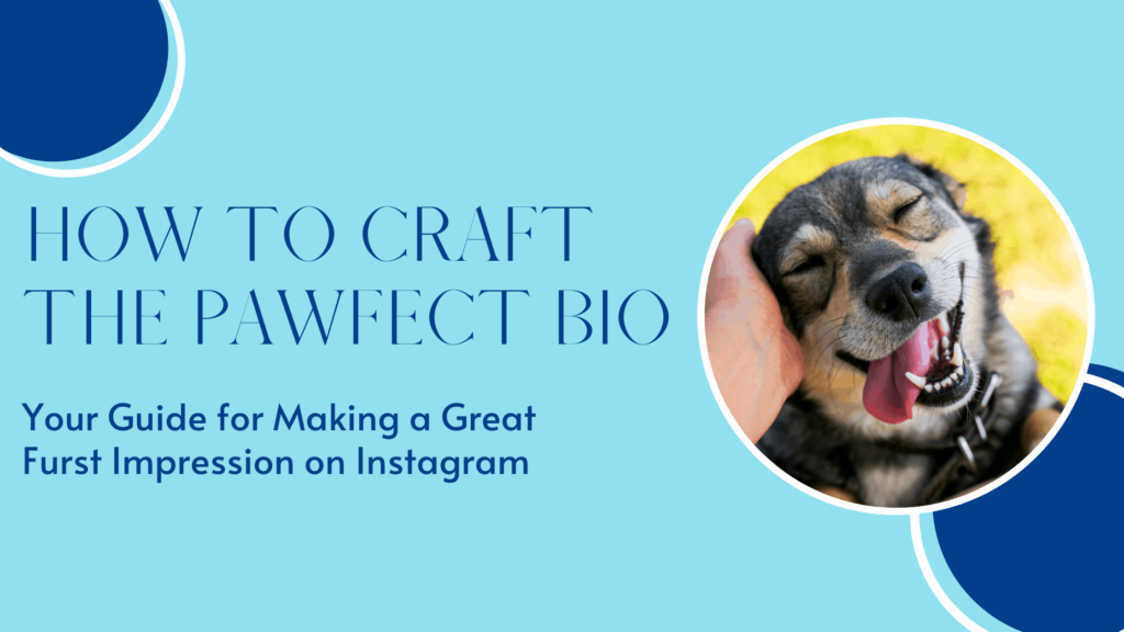 How to craft the pawfect Instagram Bio for dog accounts