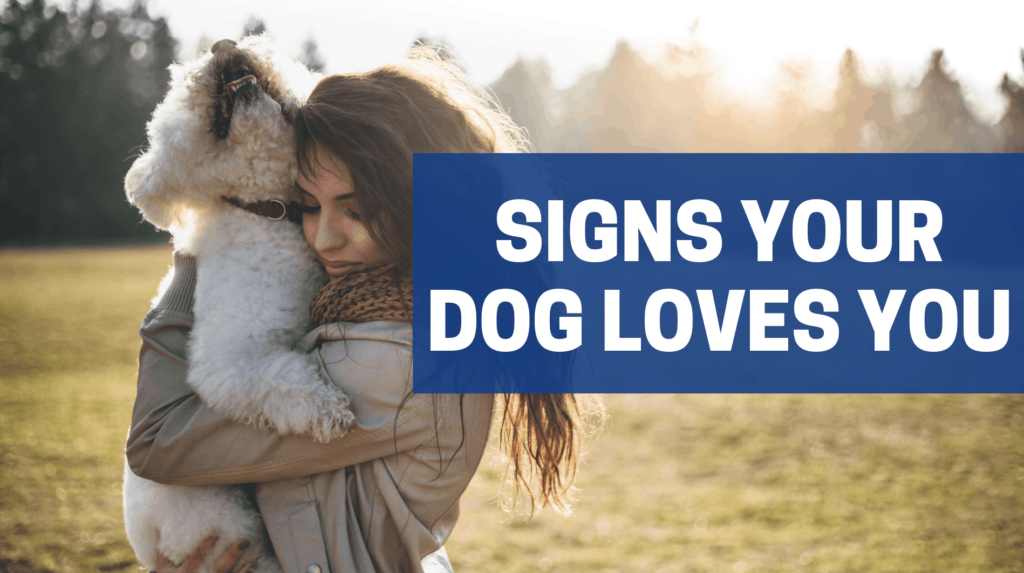 Signs your dog loves you. Woman hugging dog