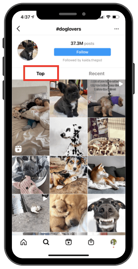 100 Best Dog Hashtags You Can Use in Your Next Post in 2021 – The Nelski  Pack