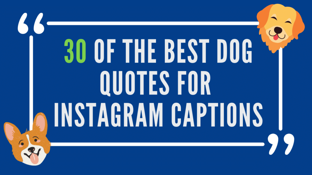 30 of the Best Dog Quotes for Instagram Captions – The Nelski Pack