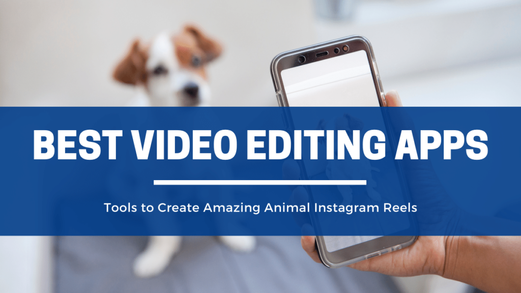 Best Video Editing Apps for Creating Amazing Animal Instagram Reels – The  Nelski Pack